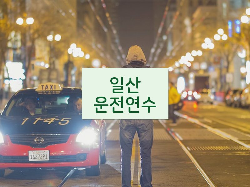 일산운전연수 후기