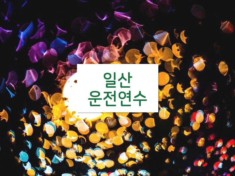 일산운전연수 후기