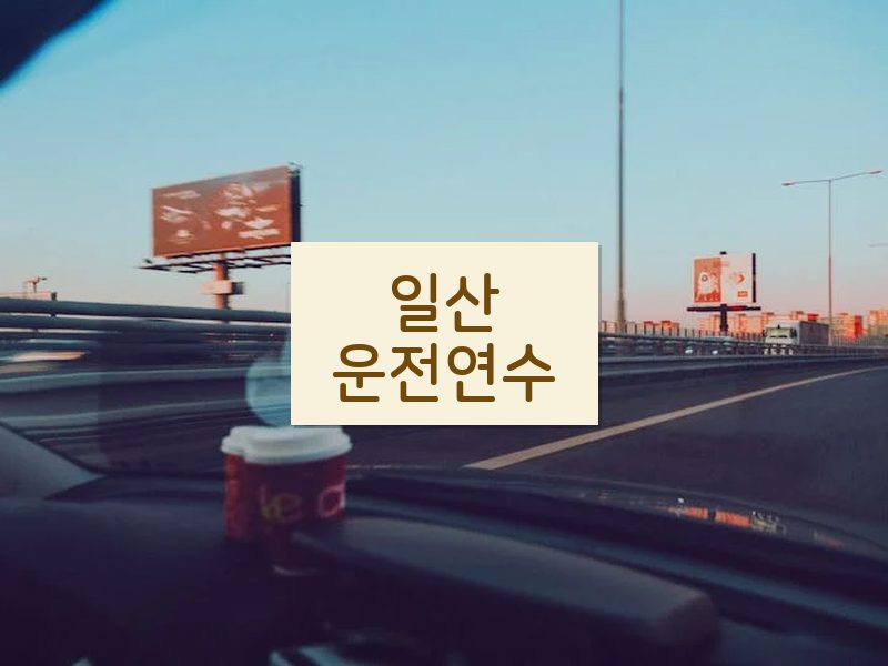 일산운전연수 후기