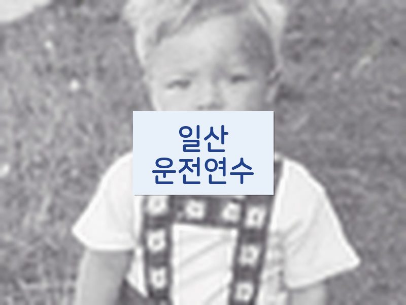 일산운전연수 후기