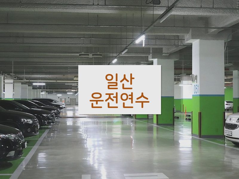 일산운전연수 후기