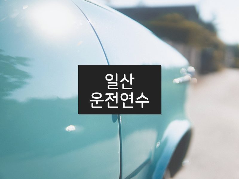 일산운전연수 후기