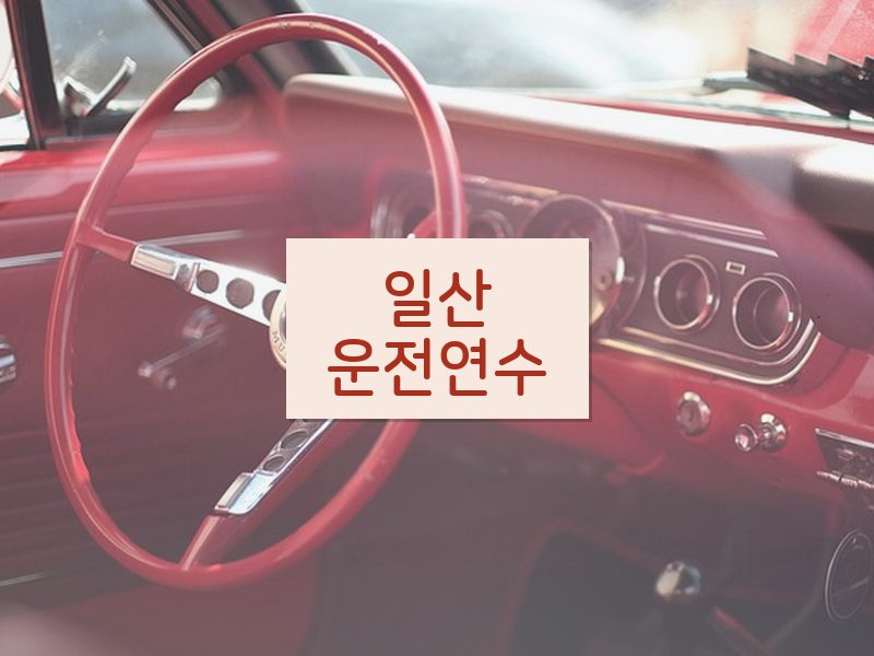 일산운전연수 후기
