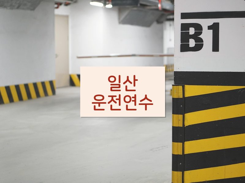 일산운전연수 후기