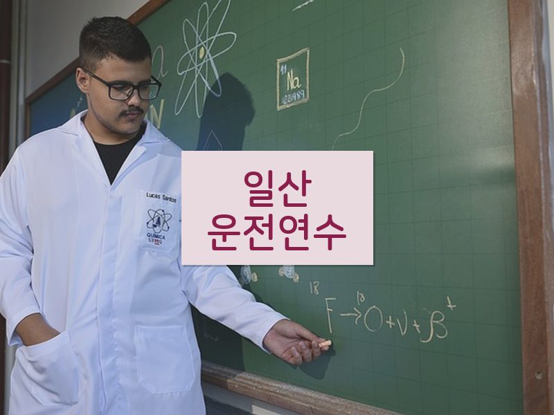 일산운전연수 후기