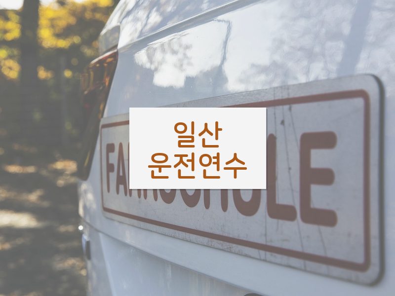 일산운전연수 후기