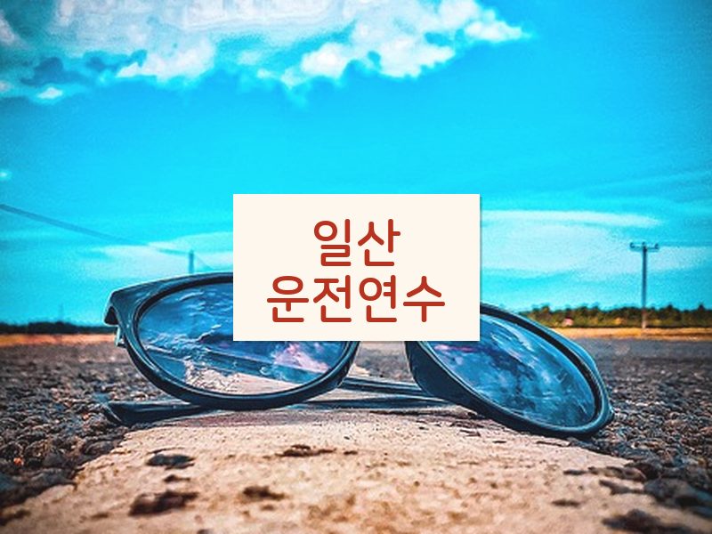 일산운전연수 후기