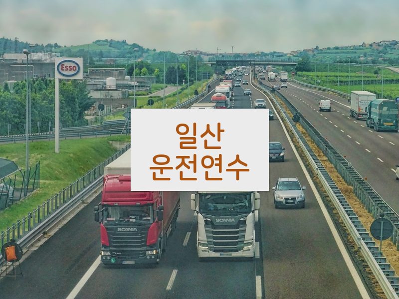 일산운전연수 후기
