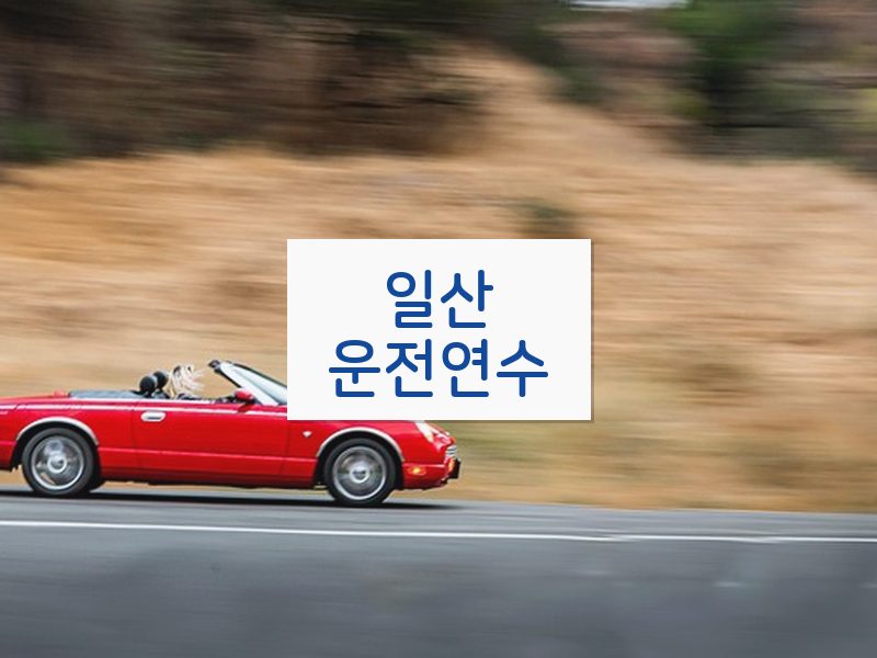 일산운전연수 후기