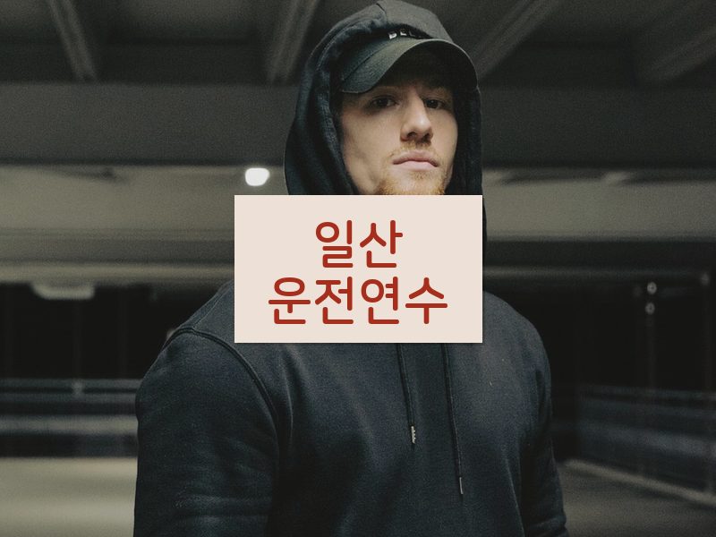 일산운전연수 후기