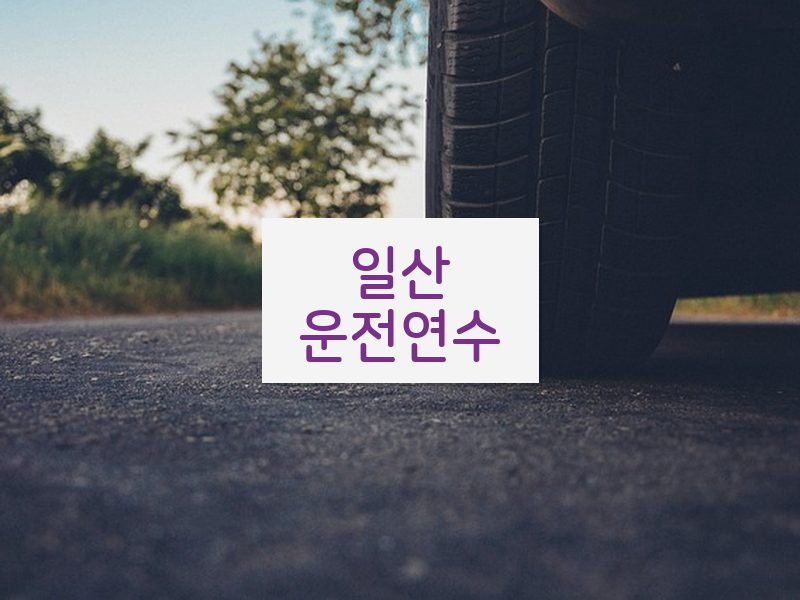 일산운전연수 후기