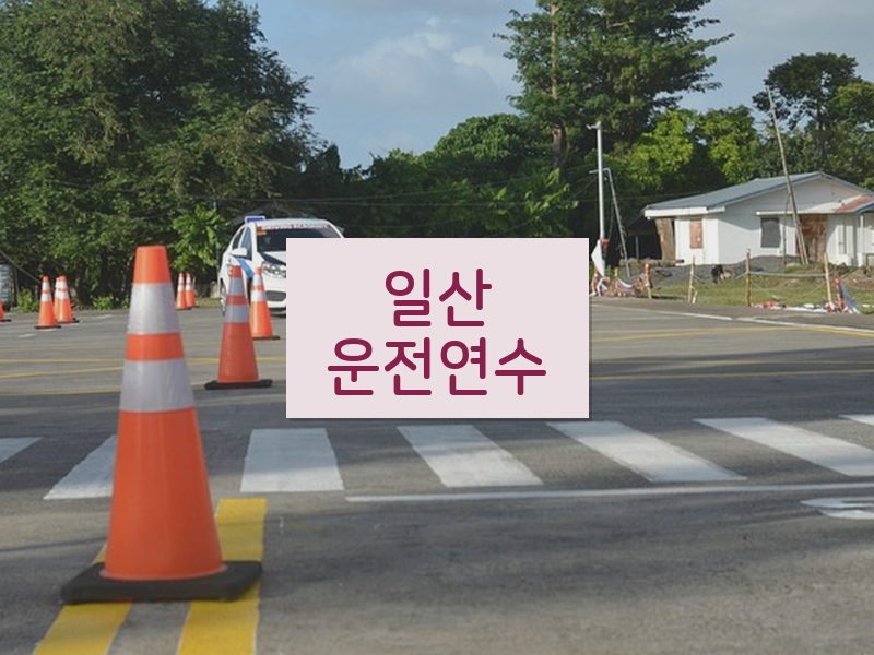 일산운전연수 후기