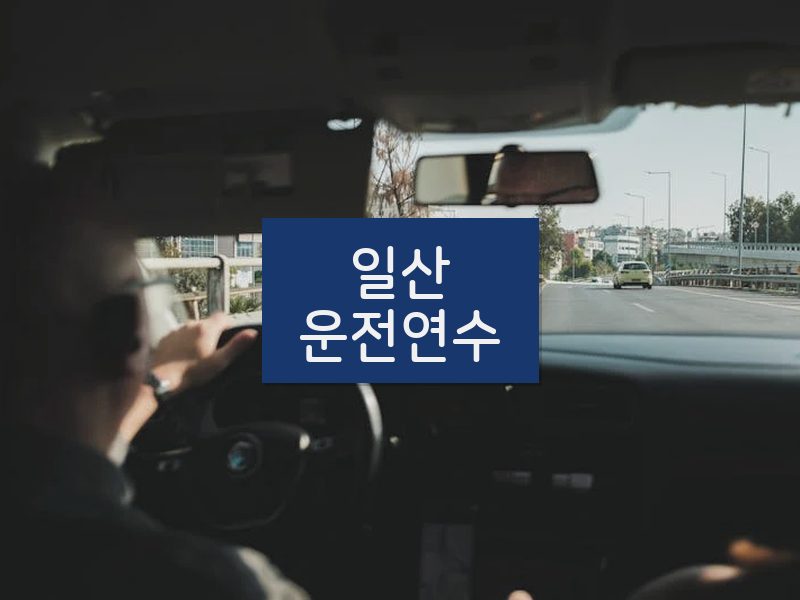 일산운전연수 후기