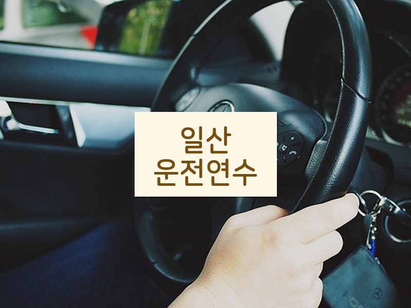 일산운전연수 후기