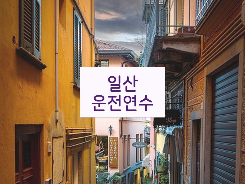 일산운전연수 후기