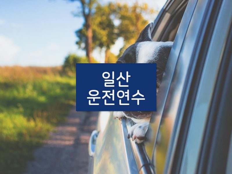 일산운전연수 후기