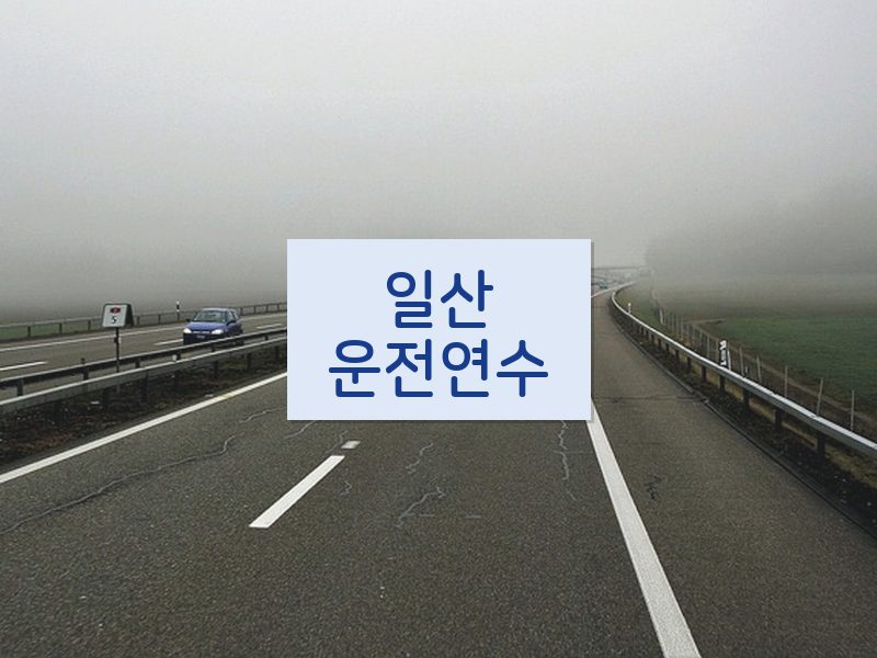 일산운전연수 후기