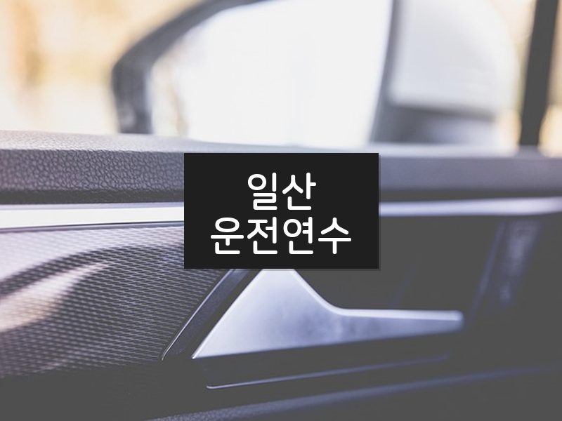 일산운전연수 후기