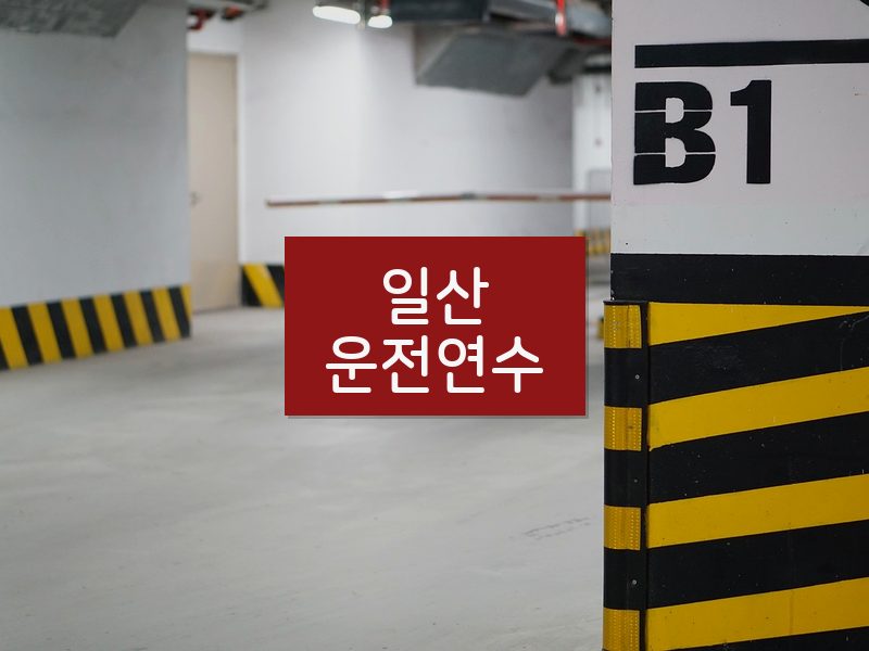 일산운전연수 후기