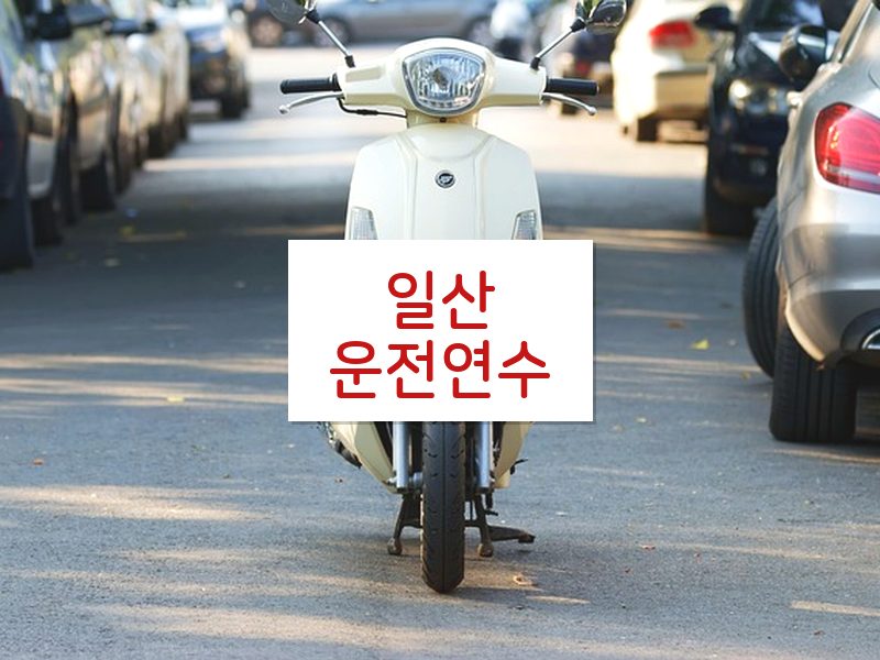 일산운전연수 후기