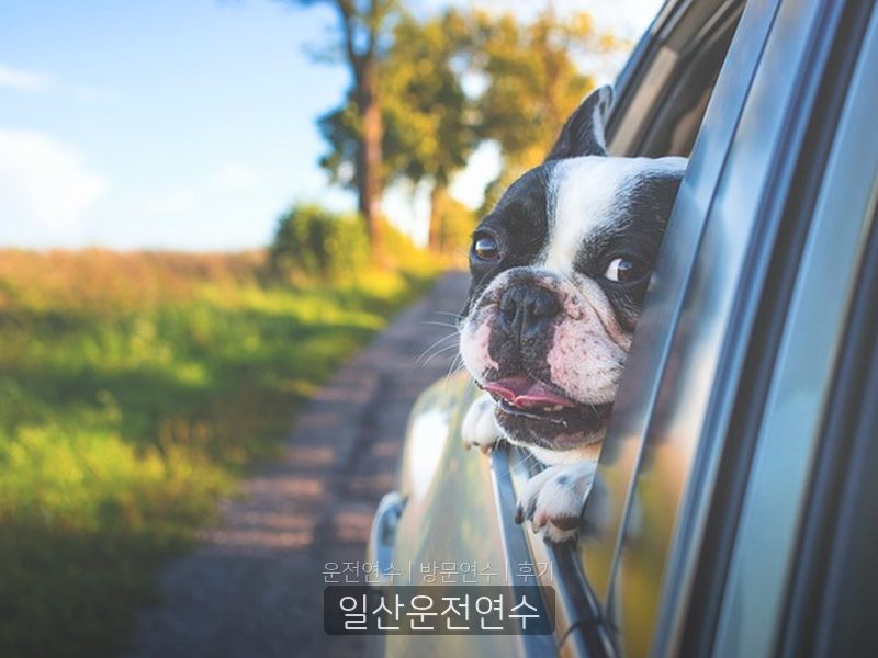 일산운전연수 후기