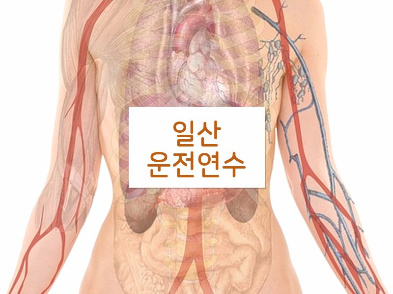 일산운전연수 후기