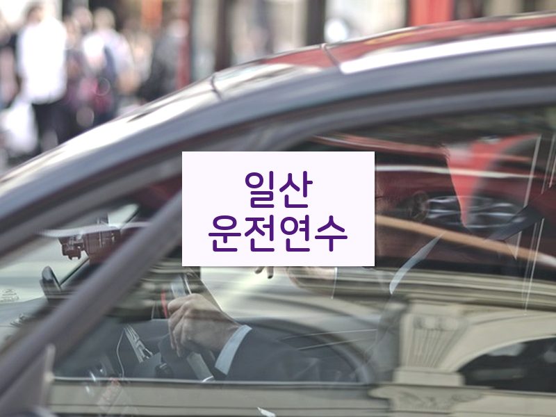 일산운전연수 후기