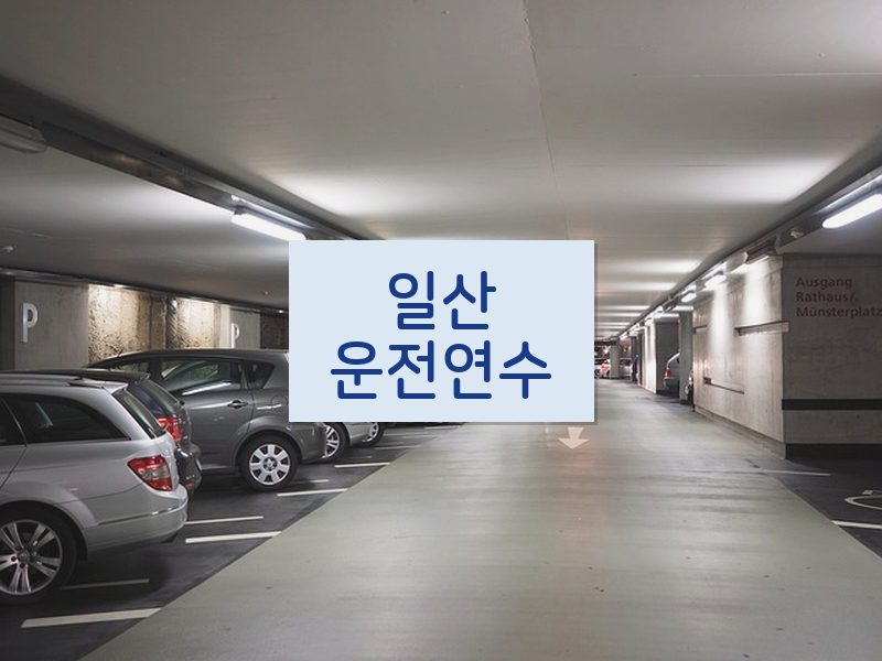 일산운전연수 후기