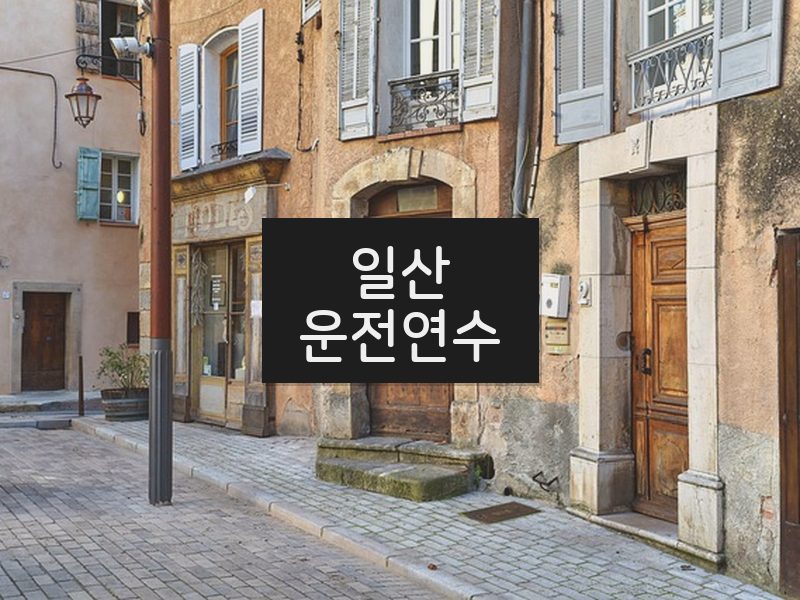 일산운전연수 후기