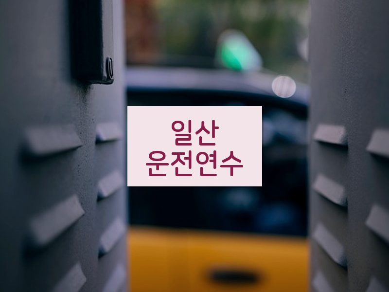 일산운전연수 후기