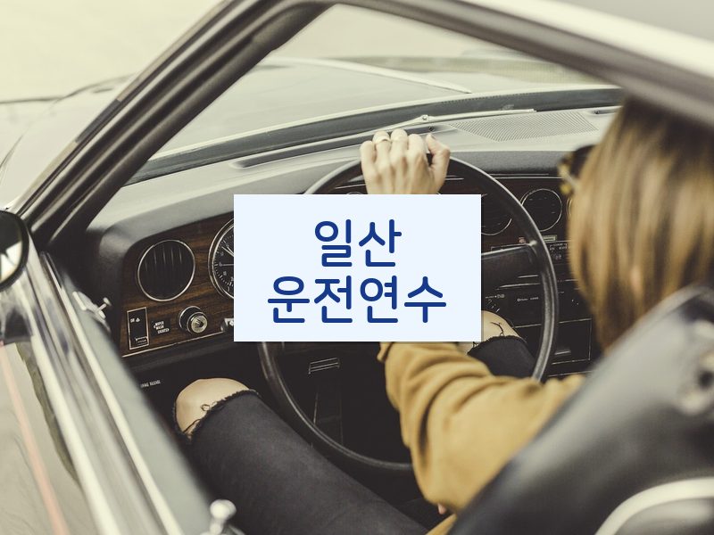 일산운전연수 후기