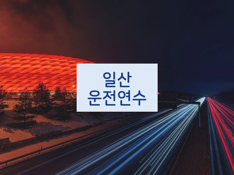 일산운전연수 후기