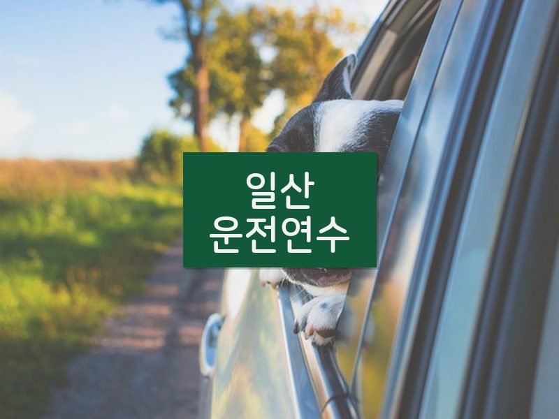 일산운전연수 후기