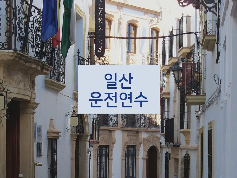 일산운전연수 후기