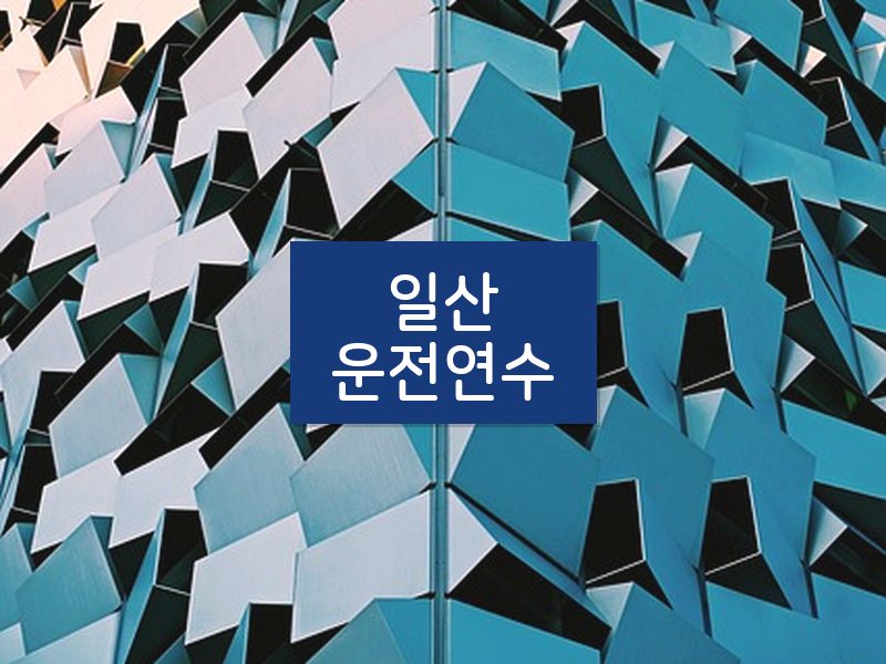 일산운전연수 후기