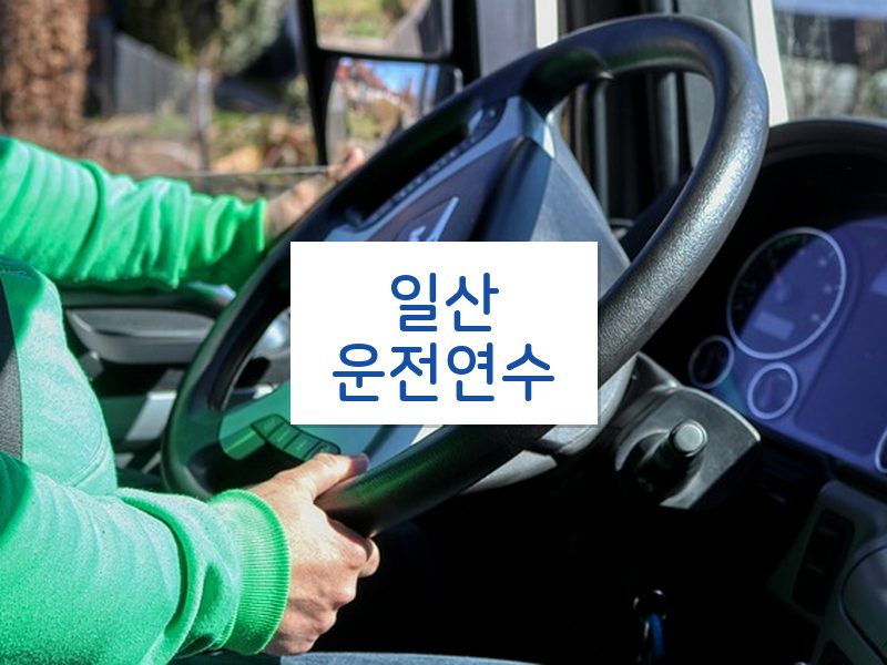 일산운전연수 후기
