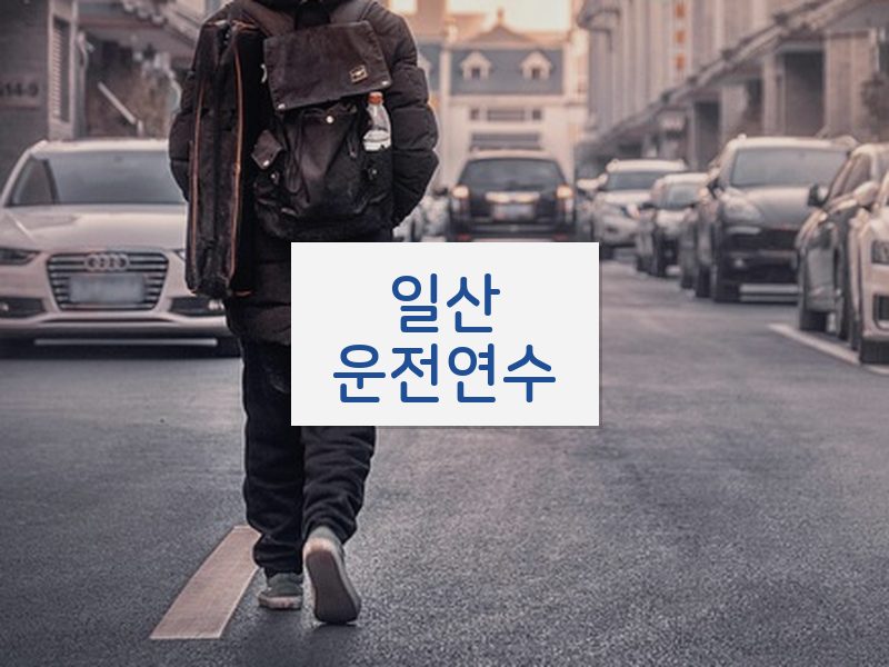 일산운전연수 후기