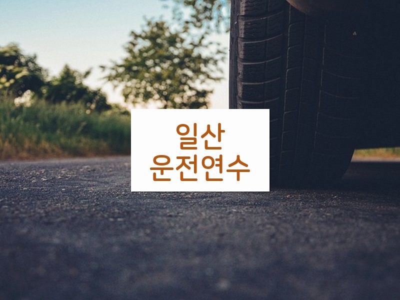 일산운전연수 후기