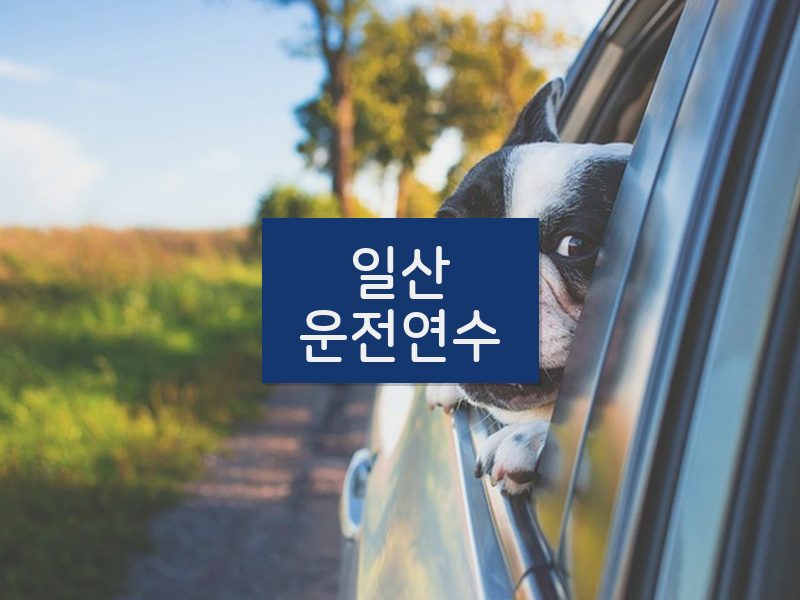 일산운전연수 후기