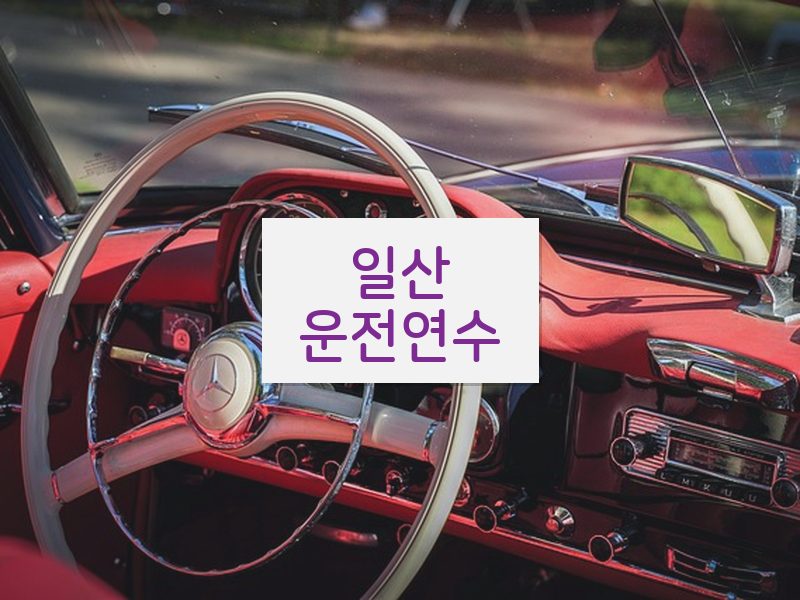 일산운전연수 후기