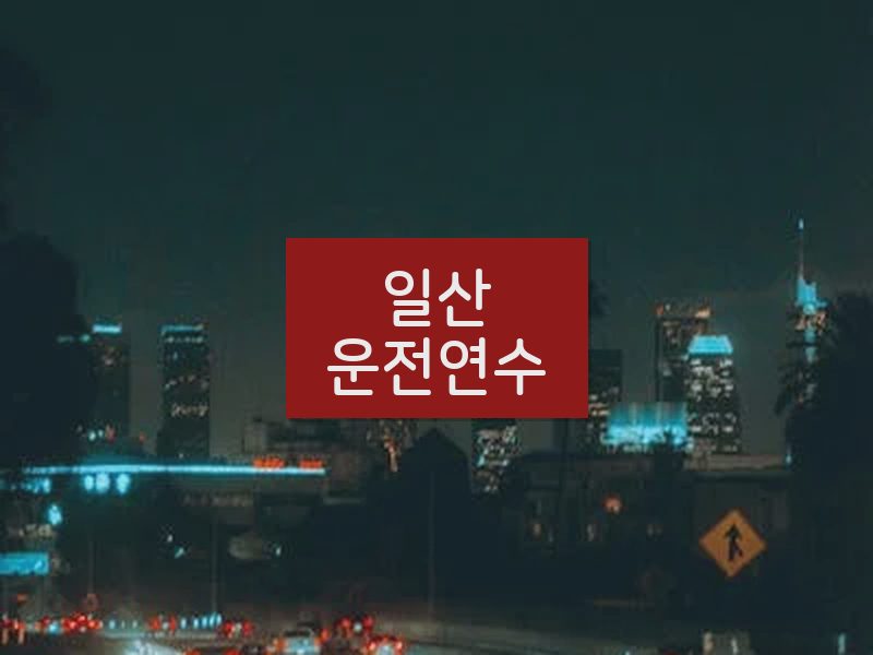 일산운전연수 후기