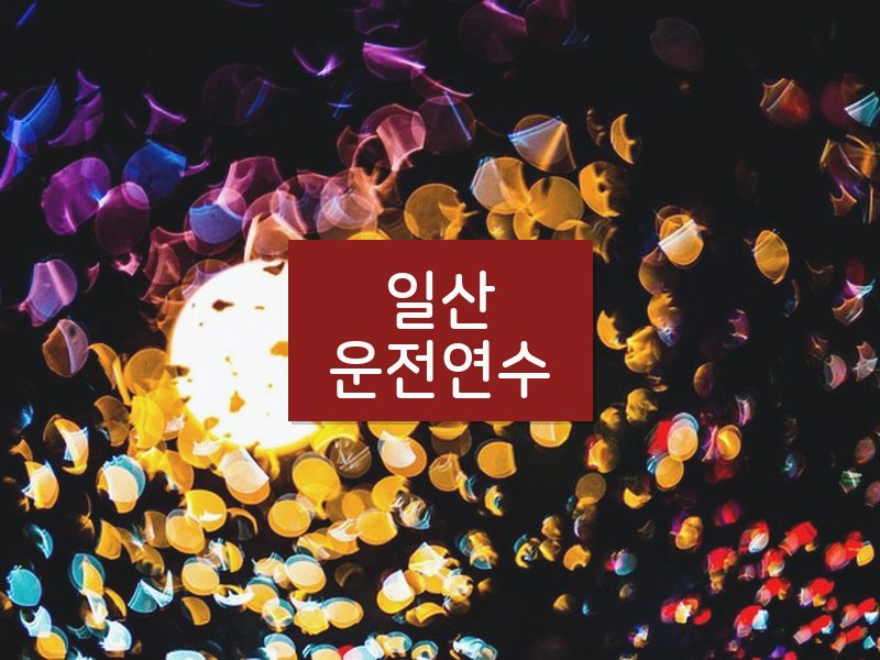 일산운전연수 후기