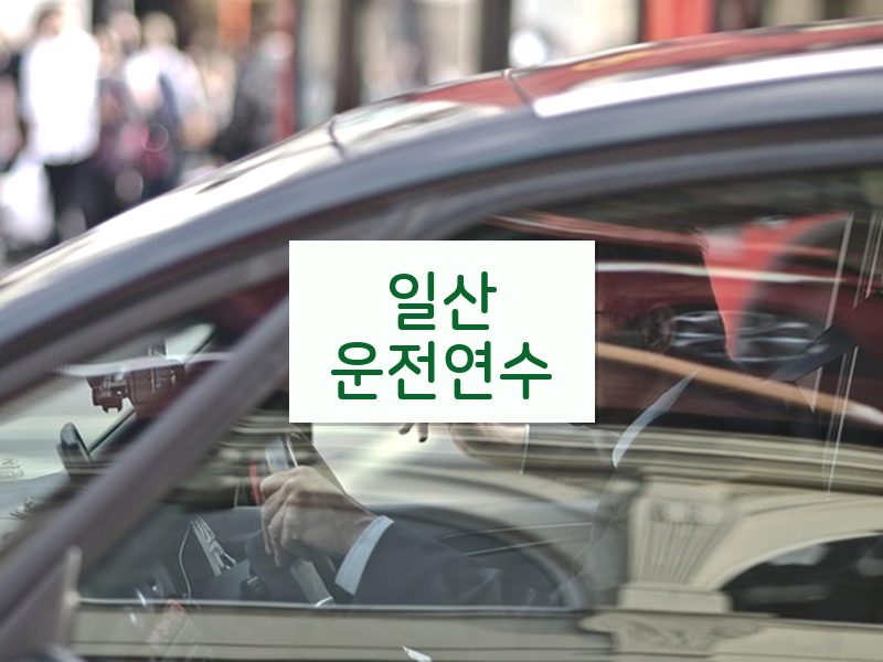 일산운전연수 후기