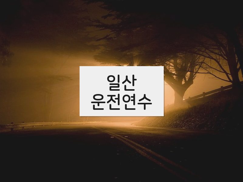 일산운전연수 후기