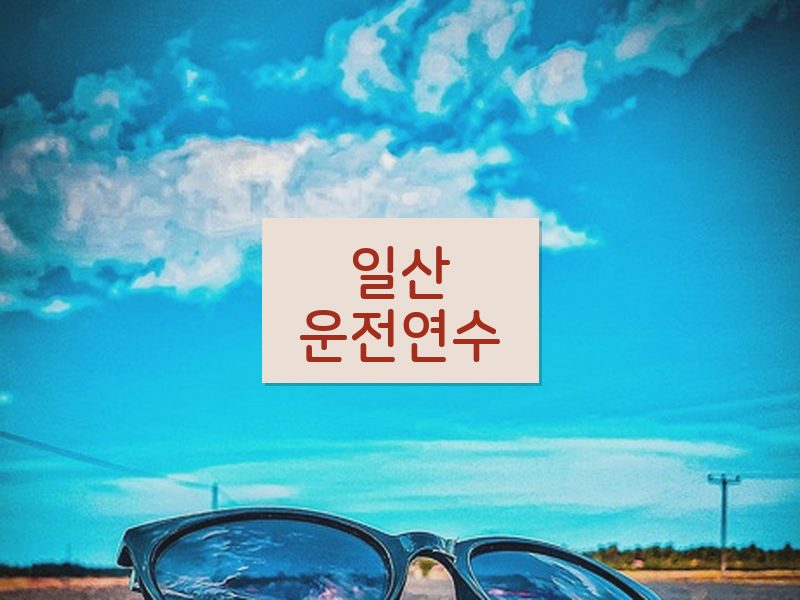 일산운전연수 후기