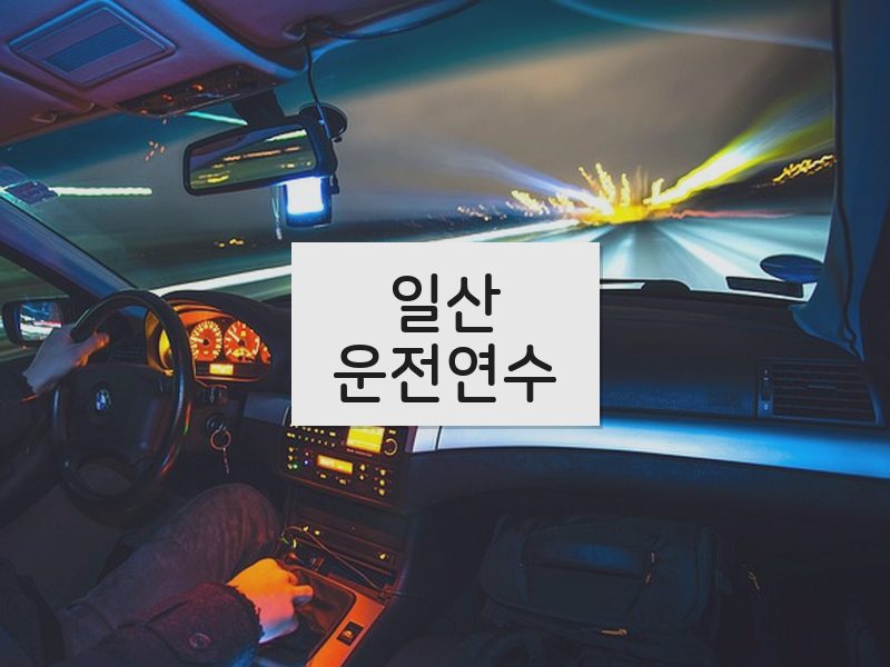 일산운전연수 후기