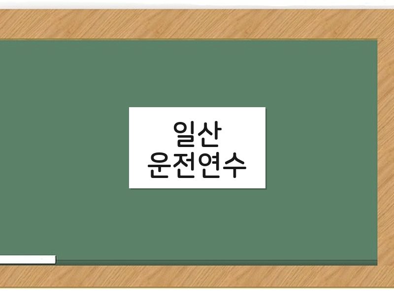 일산운전연수 후기