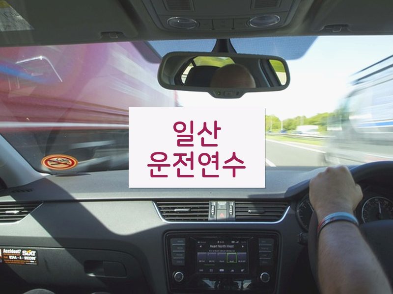일산운전연수 후기