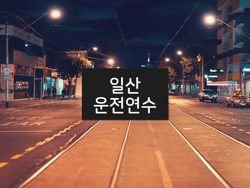 일산운전연수 후기