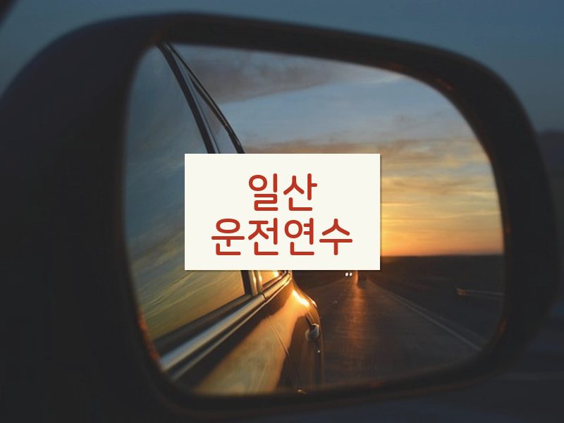 일산운전연수 후기